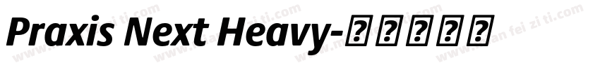 Praxis Next Heavy字体转换